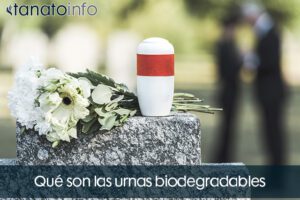 ¿Qué son las urnas biodegradables?