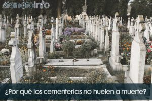 ¿Por qué los cementerios no huelen a muerte?