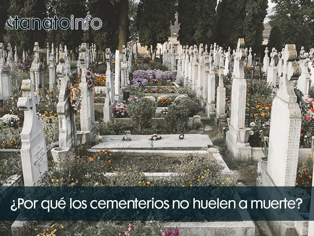 Por que los cementerios no huelen a muerte