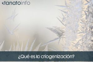 ¿Qué es la criogenización?