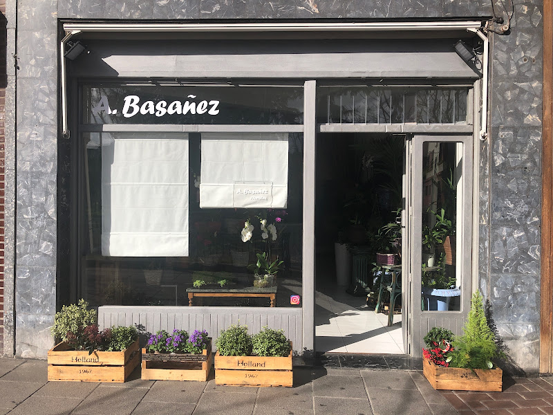 A-Basanez-Floristas-2