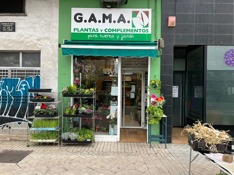 Floristeria Pamplona GAMA