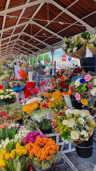Mercado-de-las-flores-3