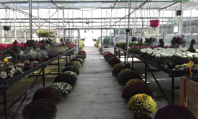 Altzibar Centro de jardineria / Vivero de plantas